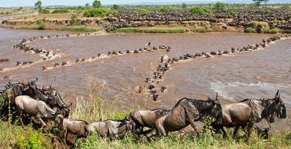 Serengeti National Park